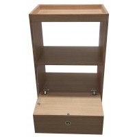 MESA MPW4